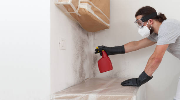 Professional Attic Mold Remediation technician working in Peoria, IL