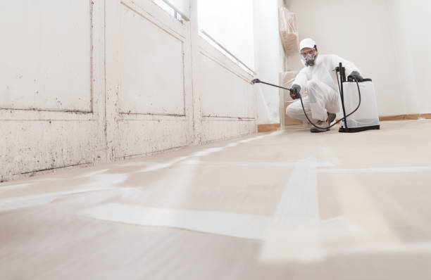 24/7 Emergency Attic Mold Remediation experts in Peoria, IL