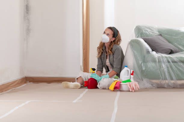 Reliable Attic Mold Remediation contractor in Peoria, IL by 24 Hour Mold Removal